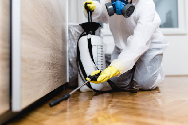 Reliable Stephenville, TX Pest Control Solutions