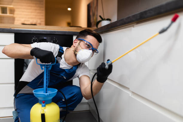 Best Affordable Pest Control Services  in Stephenville, TX