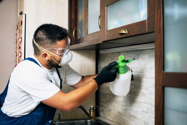 Best Pest Inspection Near Me  in Stephenville, TX