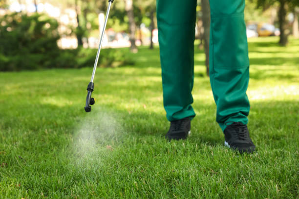 Best Exterminator Services  in Stephenville, TX