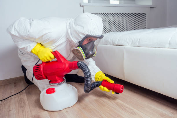 Best Best Pest Control Companies  in Stephenville, TX