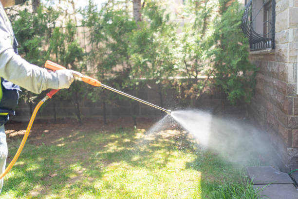 Best Termite Control Services  in Stephenville, TX
