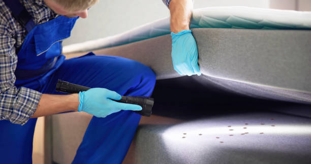 Best Local Pest Control Services  in Stephenville, TX