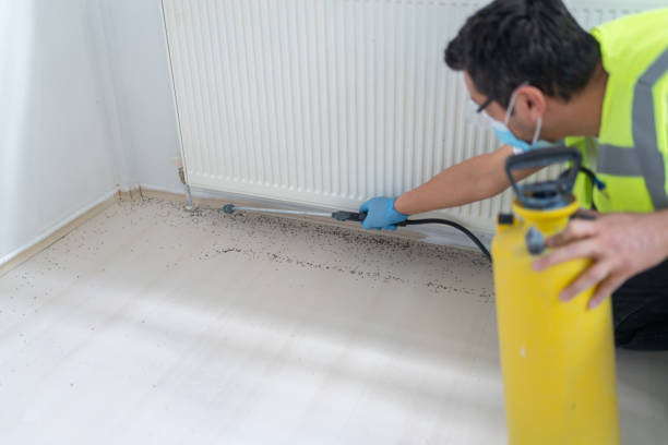 Best Affordable Pest Control Services  in Stephenville, TX