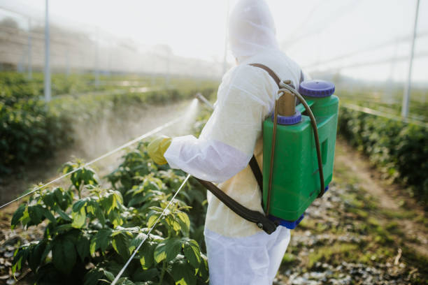 Best Exterminator Services  in Stephenville, TX